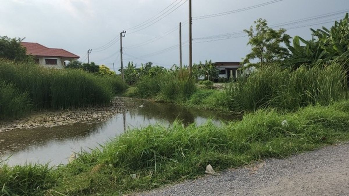 ขายที่ดินพัฒนาการ ศรีนครินทร์ : ขายที่ดินเปล่าทำเลยอดนิยมย่านพัฒนาการ ซอย อ่อนนุช 70/1 (N.642)