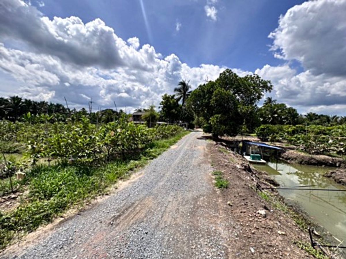 ขายที่ดินนครปฐม : ขายที่ดินสวนผลไม้ อำเภอสามพราน ตำบลคลองจินดา นครปฐม 25 ไร่ (N.1737)