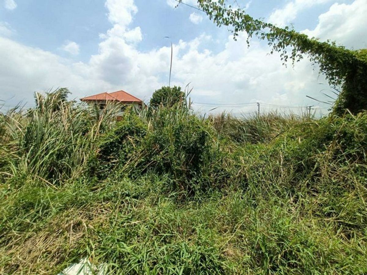 ขายที่ดินพัฒนาการ ศรีนครินทร์ : ขายที่ดินเปล่าทำเลยอดนิยมย่านพัฒนาการ ซอย อ่อนนุช 70/1 (N.642)