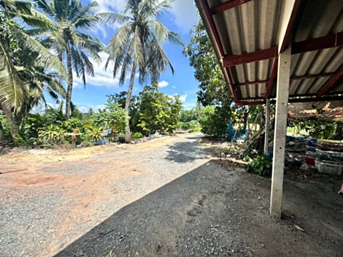 ขายที่ดินนครปฐม : ขายที่ดินสวนผลไม้ อำเภอสามพราน ตำบลคลองจินดา นครปฐม 25 ไร่ (N.1737)