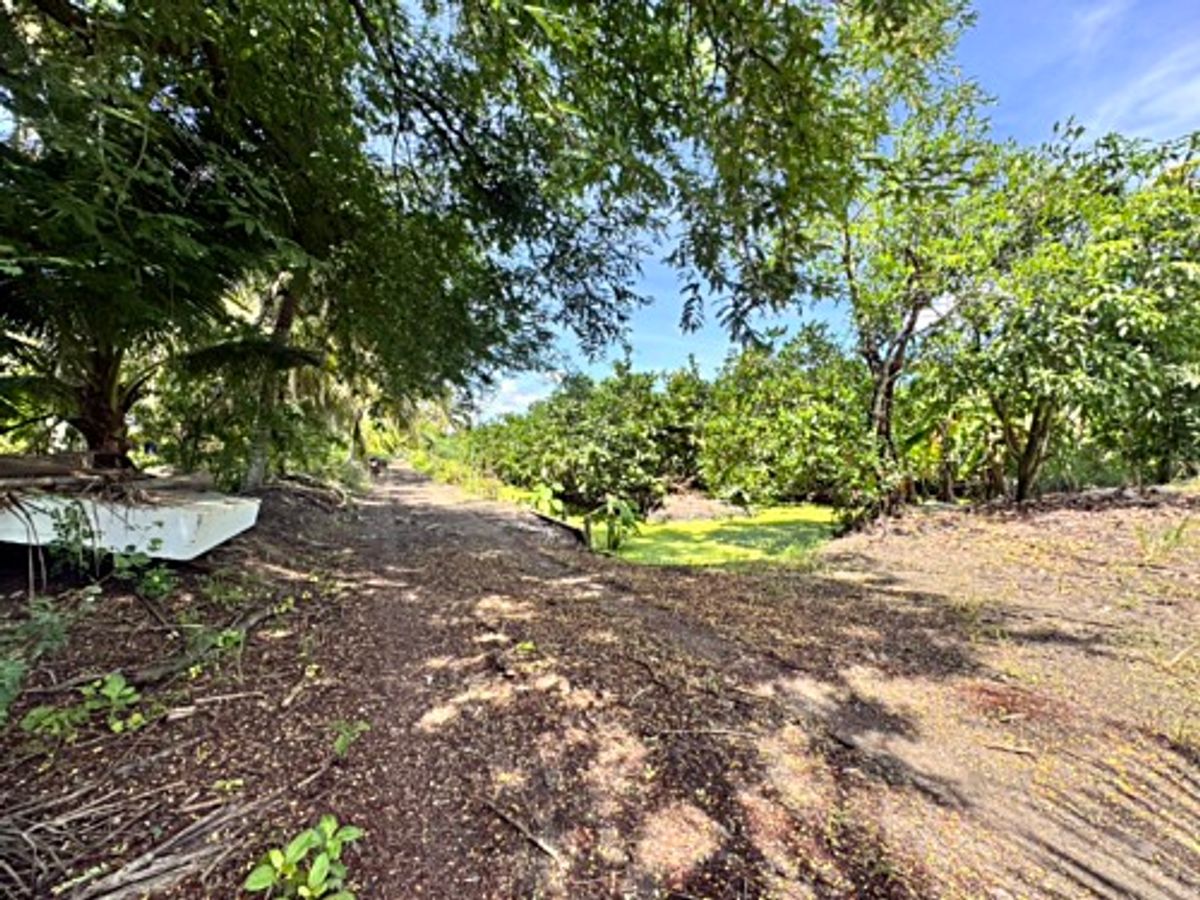 ขายที่ดินนครปฐม : ขายที่ดินสวนผลไม้ อำเภอสามพราน ตำบลคลองจินดา นครปฐม 25 ไร่ (N.1737)