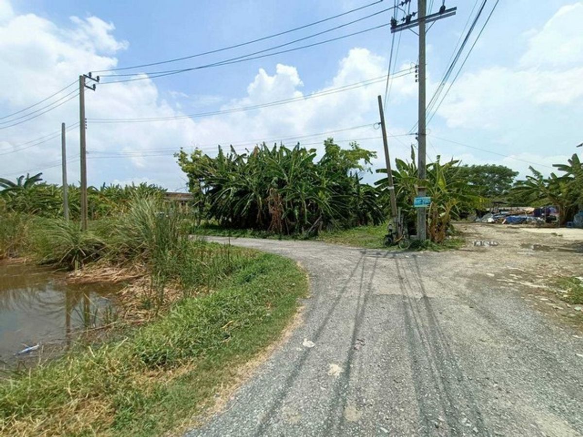 ขายที่ดินพัฒนาการ ศรีนครินทร์ : ขายที่ดินเปล่าทำเลยอดนิยมย่านพัฒนาการ ซอย อ่อนนุช 70/1 (N.642)