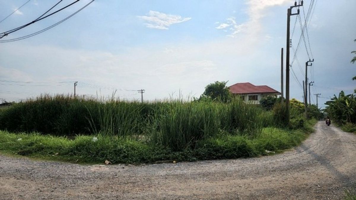 ขายที่ดินพัฒนาการ ศรีนครินทร์ : ขายที่ดินเปล่าทำเลยอดนิยมย่านพัฒนาการ ซอย อ่อนนุช 70/1 (N.642)