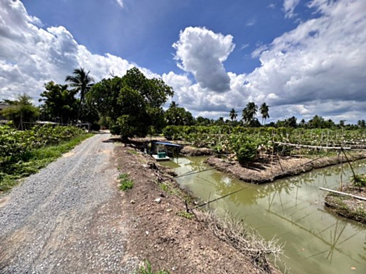 ขายที่ดินนครปฐม : ขายที่ดินสวนผลไม้ อำเภอสามพราน ตำบลคลองจินดา นครปฐม 25 ไร่ (N.1737)