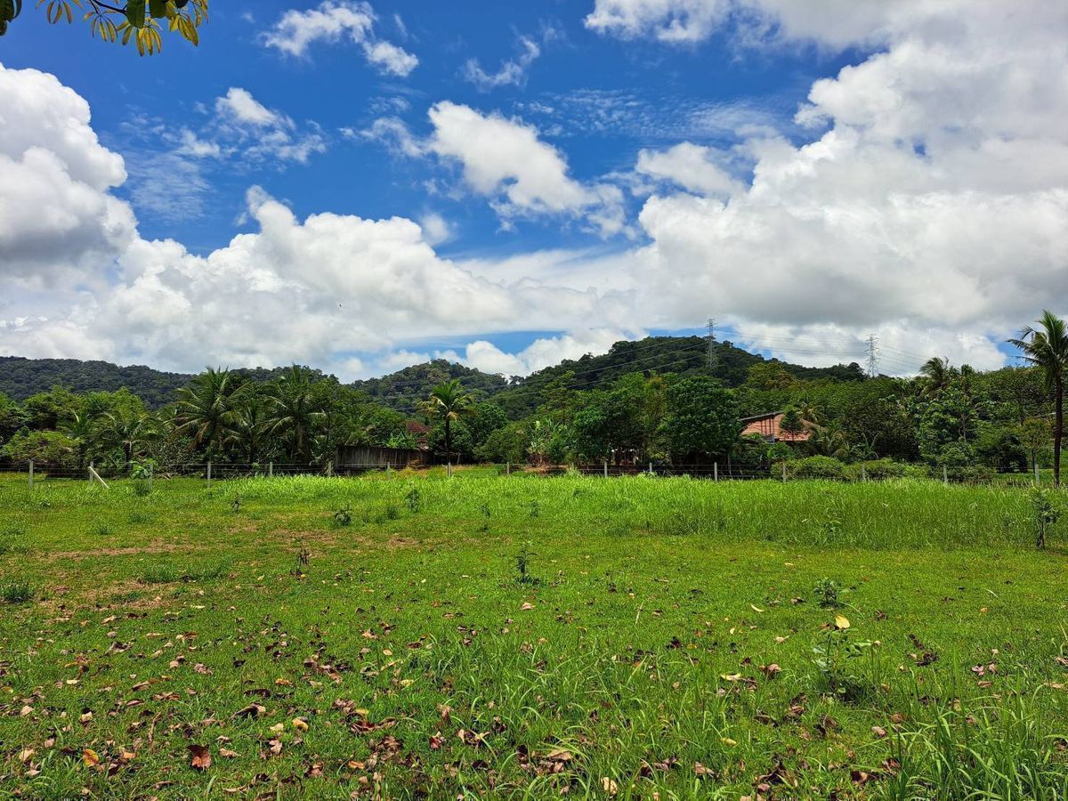 ขายที่ดินภูเก็ต : ขายที่ดินสวย ภูเก็ต 1 ไร่ 3 งาน 63.2 ตรว. ขายยกแปลง อ.ถลาง จ.ภูเก็ต ใกล้ ถนนเทพกระษัตรี ใกล้ โลตัสถลาง, พื้นที่เขตสีเขียว วิวภูเขาโอมล้อม เหมาะสำหรับ ทำพูลวิลล่า ที่พักหรู รีสอร์ตขนาดเล็ก เดินทางสะดวก เชิงทะเล, ลากูน่า, เทพกระษัตรี, สนามบิน, Phuket