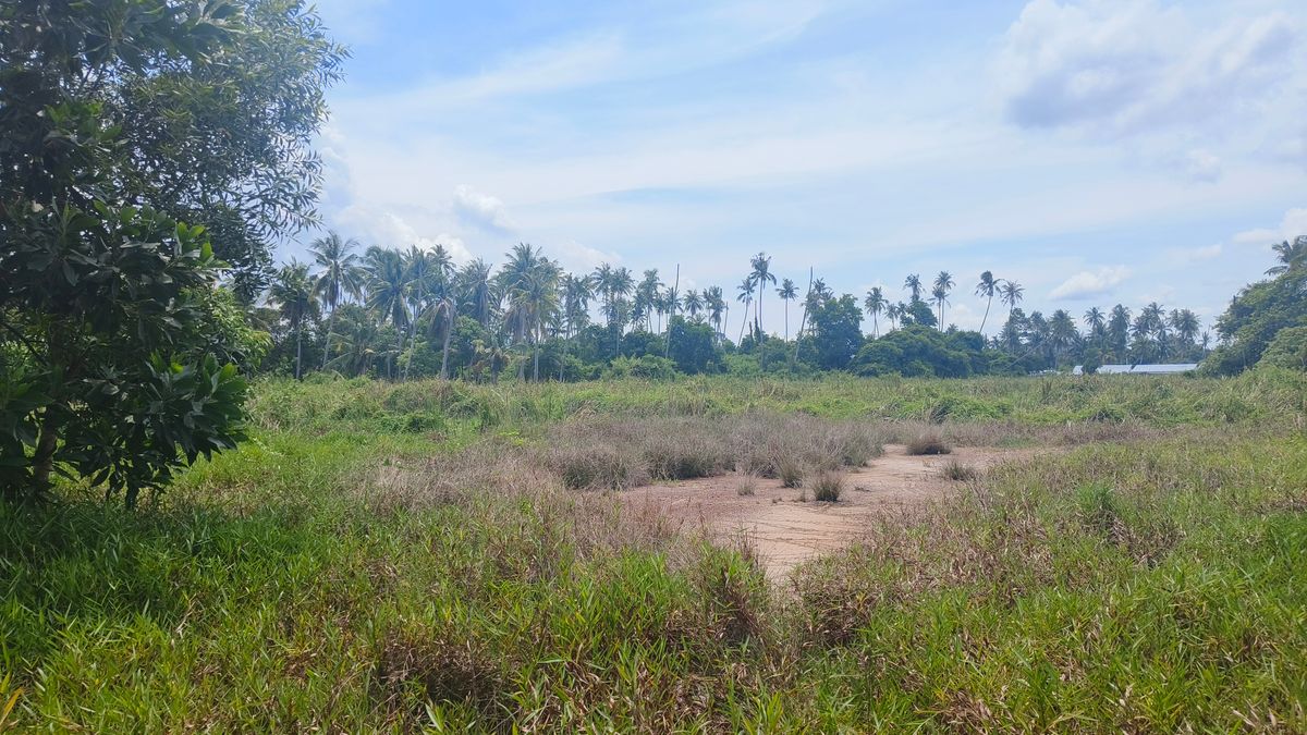 ขายที่ดินจันทบุรี : ขายด่วนที่ดินพื้นที่ท่องเที่ยวทางทะเล หาดแหลมสิงห์