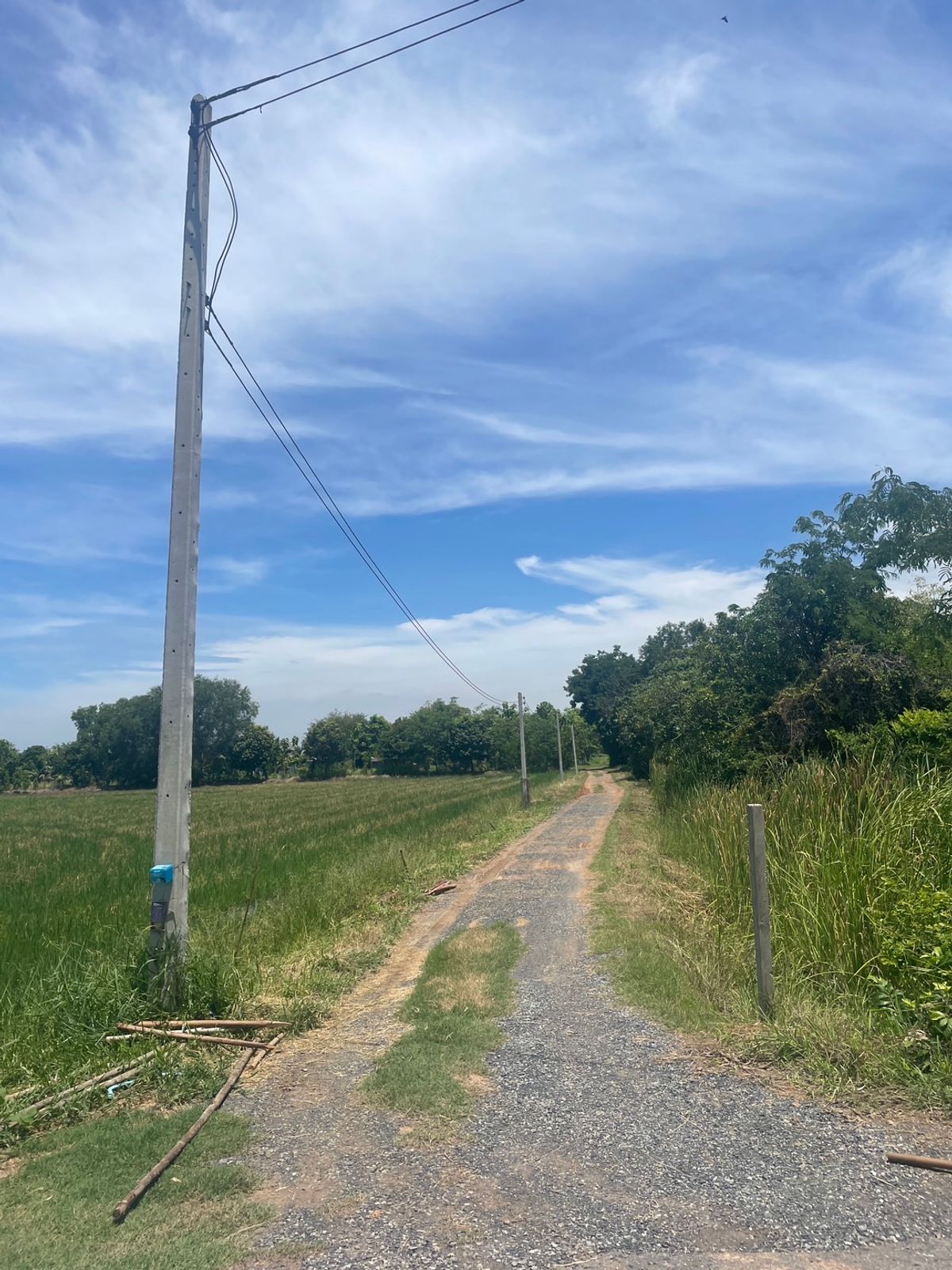 ขายที่ดินสระบุรี : ที่ดินทำเลดี หนองจิก สระบุรี