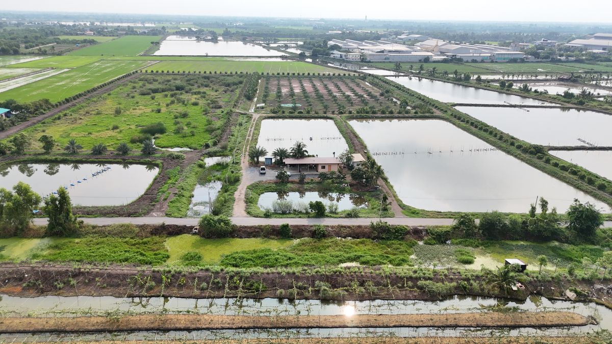 ขายที่ดินนครปฐม : ขายบ้านพร้อมสวน บางเลน นครปฐม