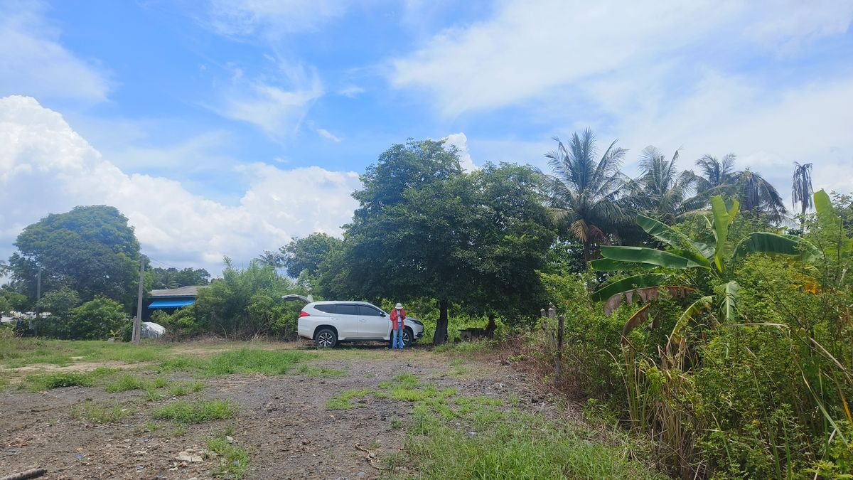 ขายที่ดินจันทบุรี : ขายด่วนที่ดินพื้นที่ท่องเที่ยวทางทะเล หาดแหลมสิงห์