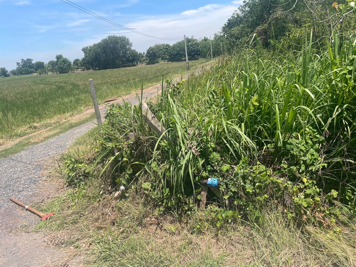 ขายที่ดินสระบุรี : ที่ดินทำเลดี หนองจิก สระบุรี