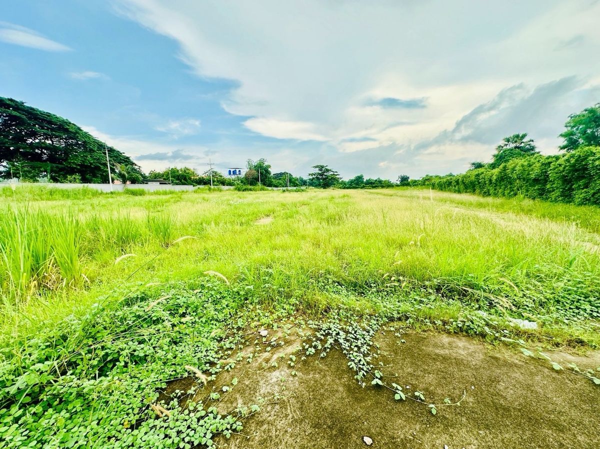 For SaleLandSriracha Laem Chabang Ban Bueng : Land for sale in the area of ​​EEC area of ​​9-1-70 rai. Don Nun Road, near Pinthong 2 Industrial Estate