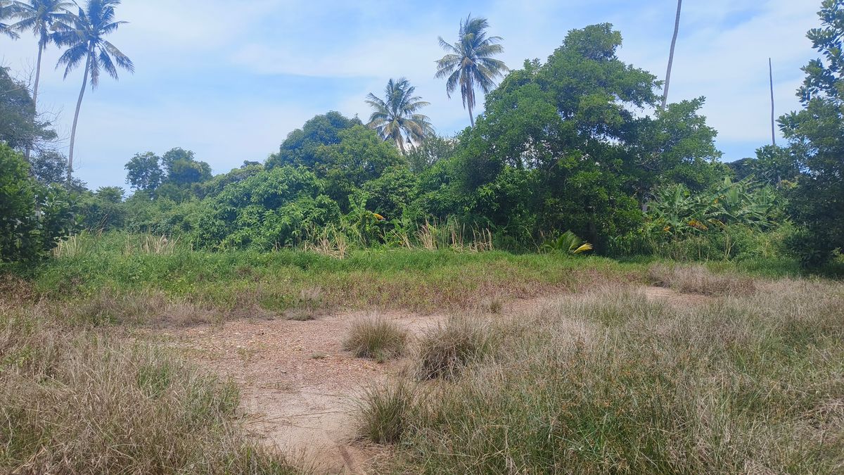 ขายที่ดินจันทบุรี : ขายด่วนที่ดินพื้นที่ท่องเที่ยวทางทะเล หาดแหลมสิงห์