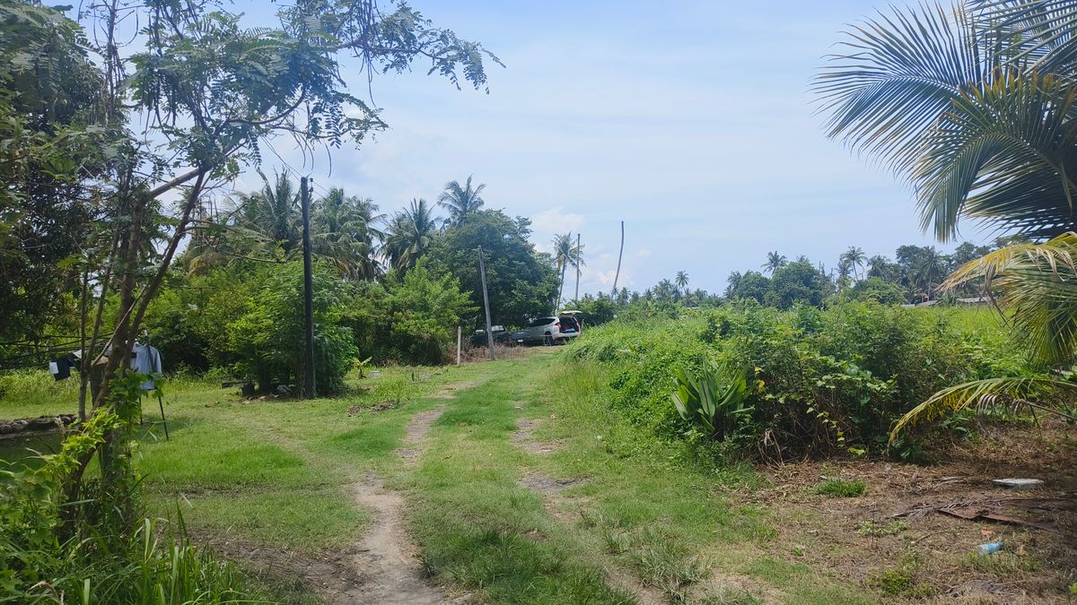 ขายที่ดินจันทบุรี : ขายด่วนที่ดินพื้นที่ท่องเที่ยวทางทะเล หาดแหลมสิงห์