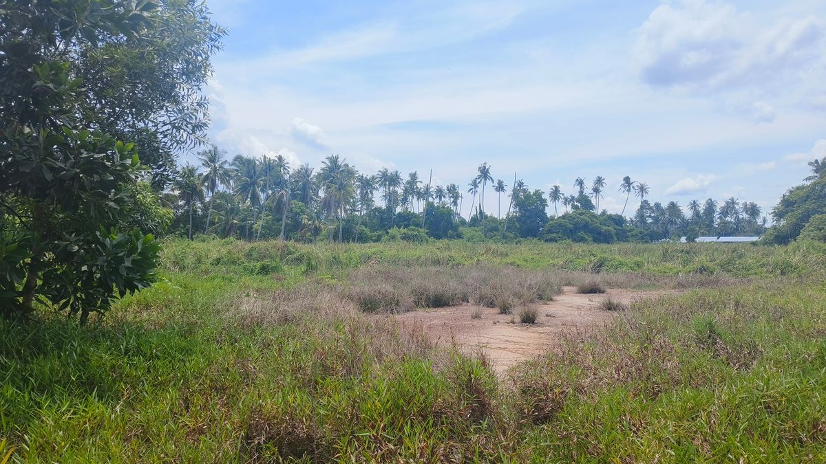ขายที่ดินจันทบุรี : ขายด่วนที่ดินพื้นที่ท่องเที่ยวทางทะเล หาดแหลมสิงห์