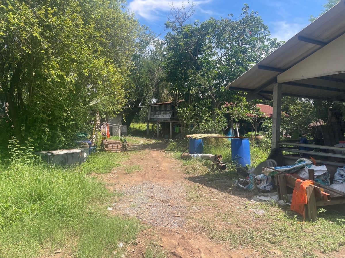 ขายที่ดินสระบุรี : ที่ดินทำเลดี หนองจิก สระบุรี