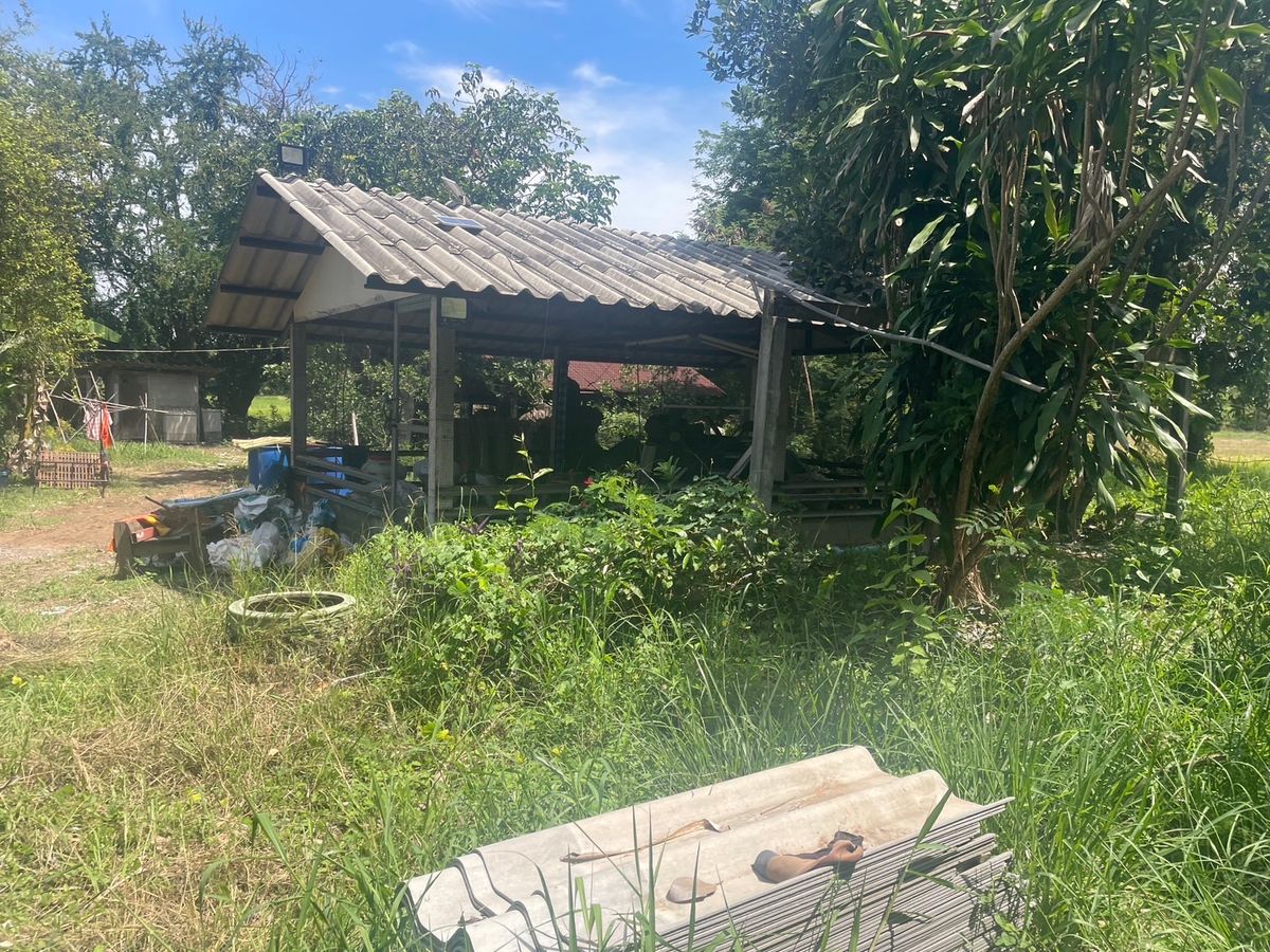 ขายที่ดินสระบุรี : ที่ดินทำเลดี หนองจิก สระบุรี