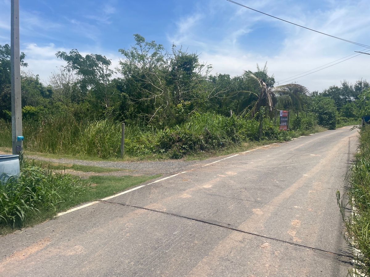 ขายที่ดินสระบุรี : ที่ดินทำเลดี หนองจิก สระบุรี