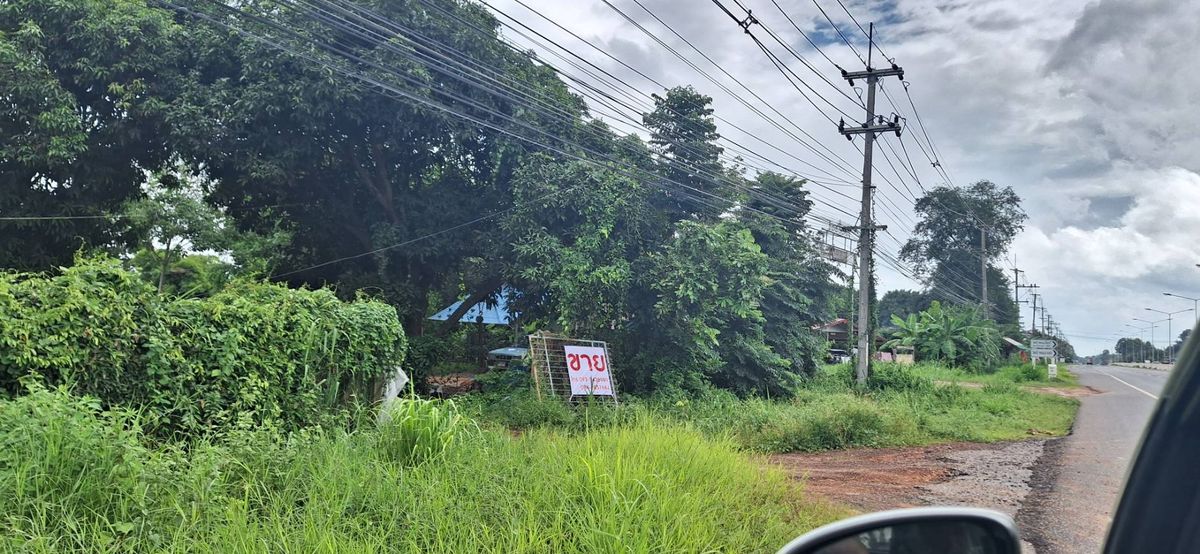 ขายที่ดินยโสธร : ขายที่ดินหัวมุม ทำเลทอง ติดถนน2ด้าน ด้านหน้าติดถนน4เลน อำเภอป่าติ้ว จังหวัดยโสธร