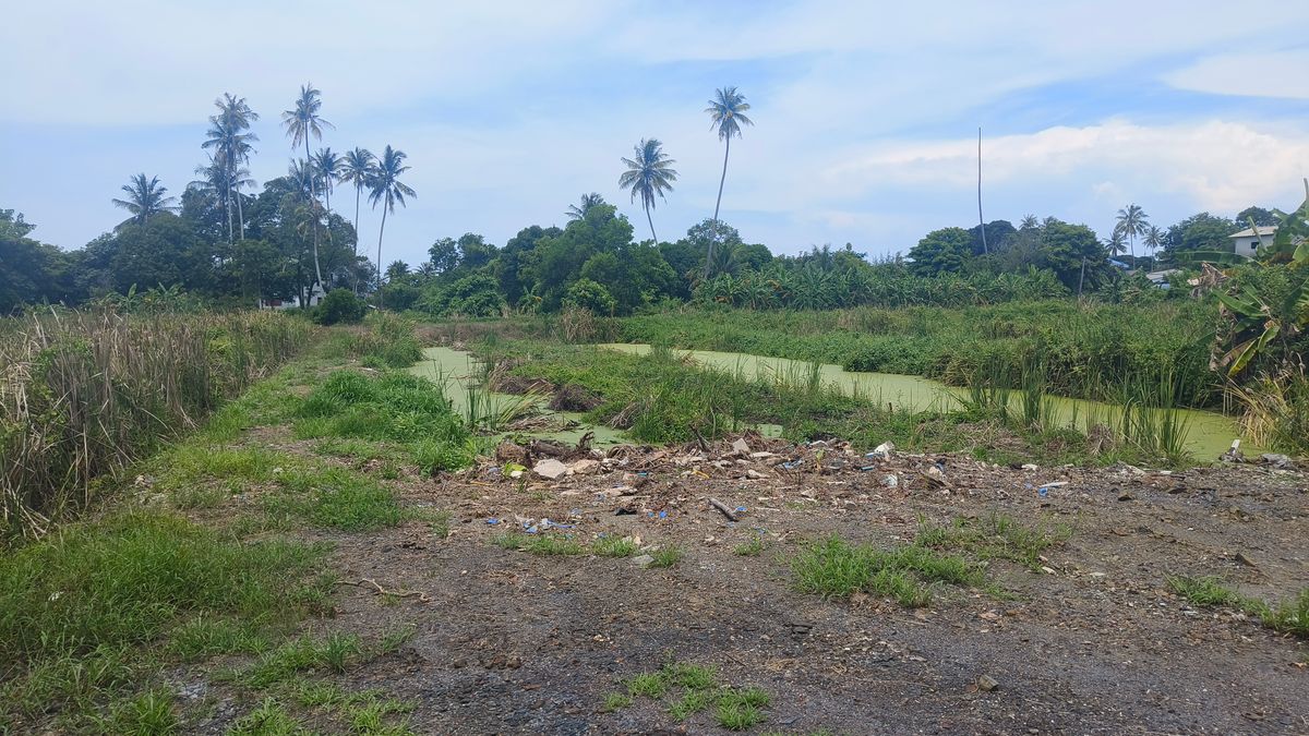 ขายที่ดินจันทบุรี : ขายด่วนที่ดินพื้นที่ท่องเที่ยวทางทะเล หาดแหลมสิงห์