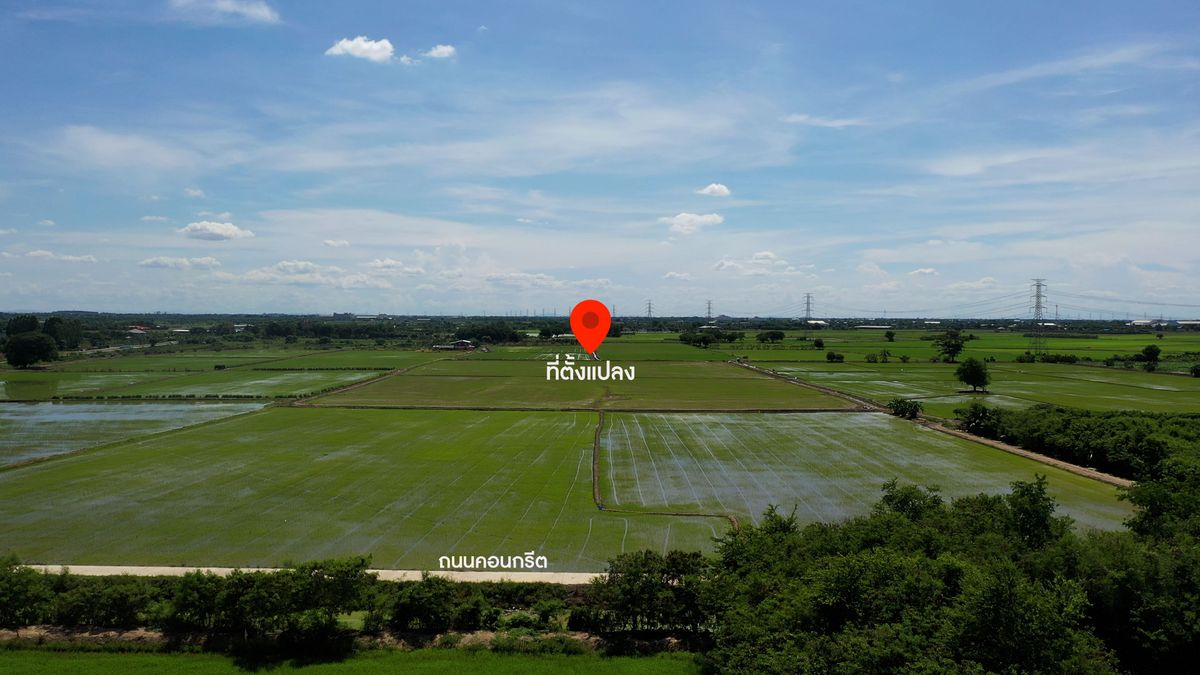 ขายที่ดินนครปฐม : ขาย ที่ดิน บางปลา อ.บางเลน จ.นครปฐม ปัจจุบันทำนา ราคาต่อรองได้
