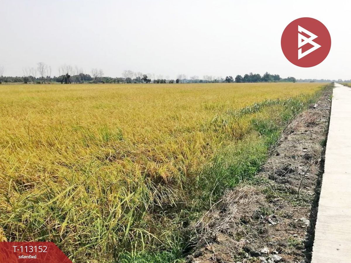 ขายที่ดินมีนบุรี-ร่มเกล้า : ขายที่ดิน เนื้อที่ 7 ไร่ หนองจอก กรุงเทพมหานคร