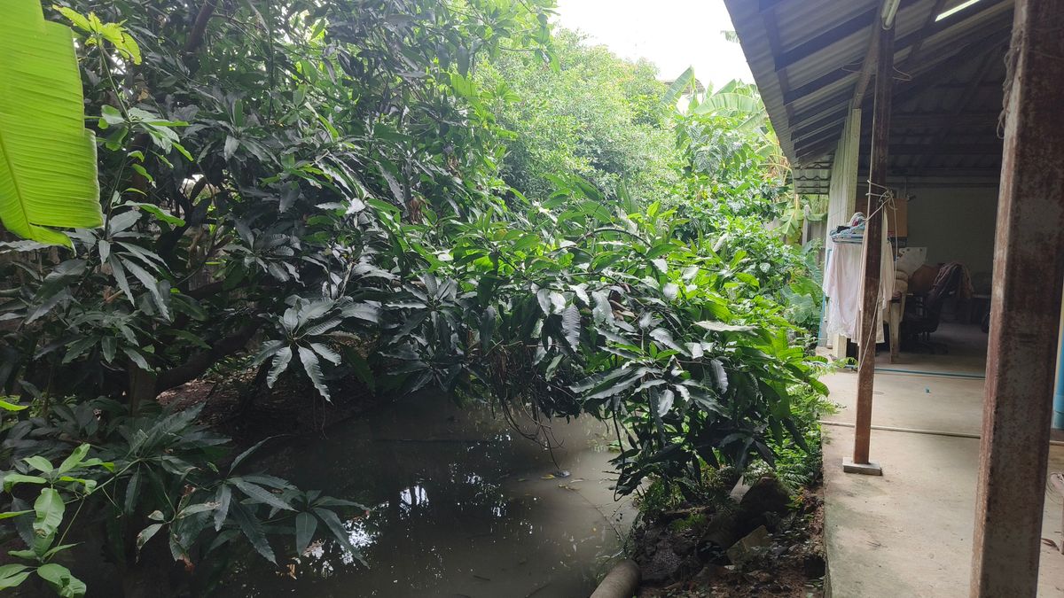 For SaleHousePinklao, Charansanitwong : House for sale in the city's center, good vibes, good humidity