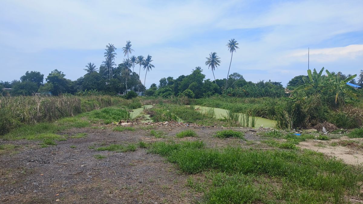 ขายที่ดินจันทบุรี : ขายด่วนที่ดินพื้นที่ท่องเที่ยวทางทะเล หาดแหลมสิงห์