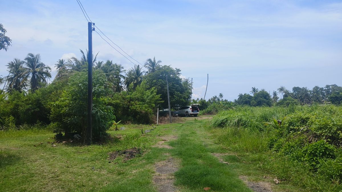 ขายที่ดินจันทบุรี : ขายด่วนที่ดินพื้นที่ท่องเที่ยวทางทะเล หาดแหลมสิงห์