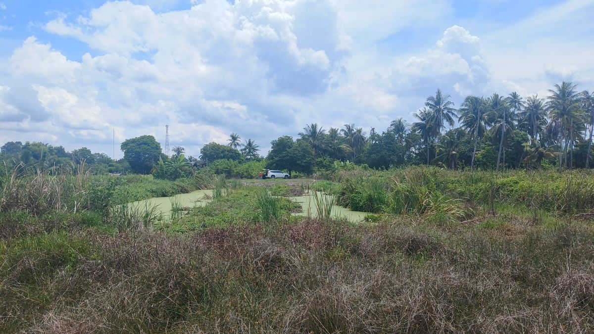 ขายที่ดินจันทบุรี : ขายด่วนที่ดินพื้นที่ท่องเที่ยวทางทะเล หาดแหลมสิงห์