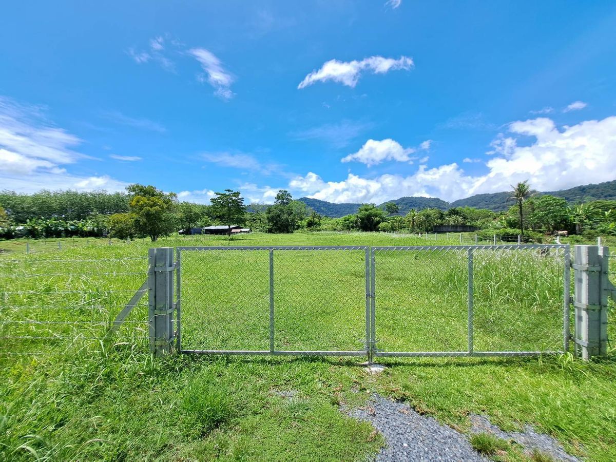 For SaleLandPhuket : Phuket Thalang Land for sale, 1 rai 3 ngan 63.2 sq. Width 40 meters long, 89 meters long, after the land is 25 m. Near Lotus Thalang, Yellow area The view of the mountain is beautiful, suitable for making villas, business houses, other housing estates. In