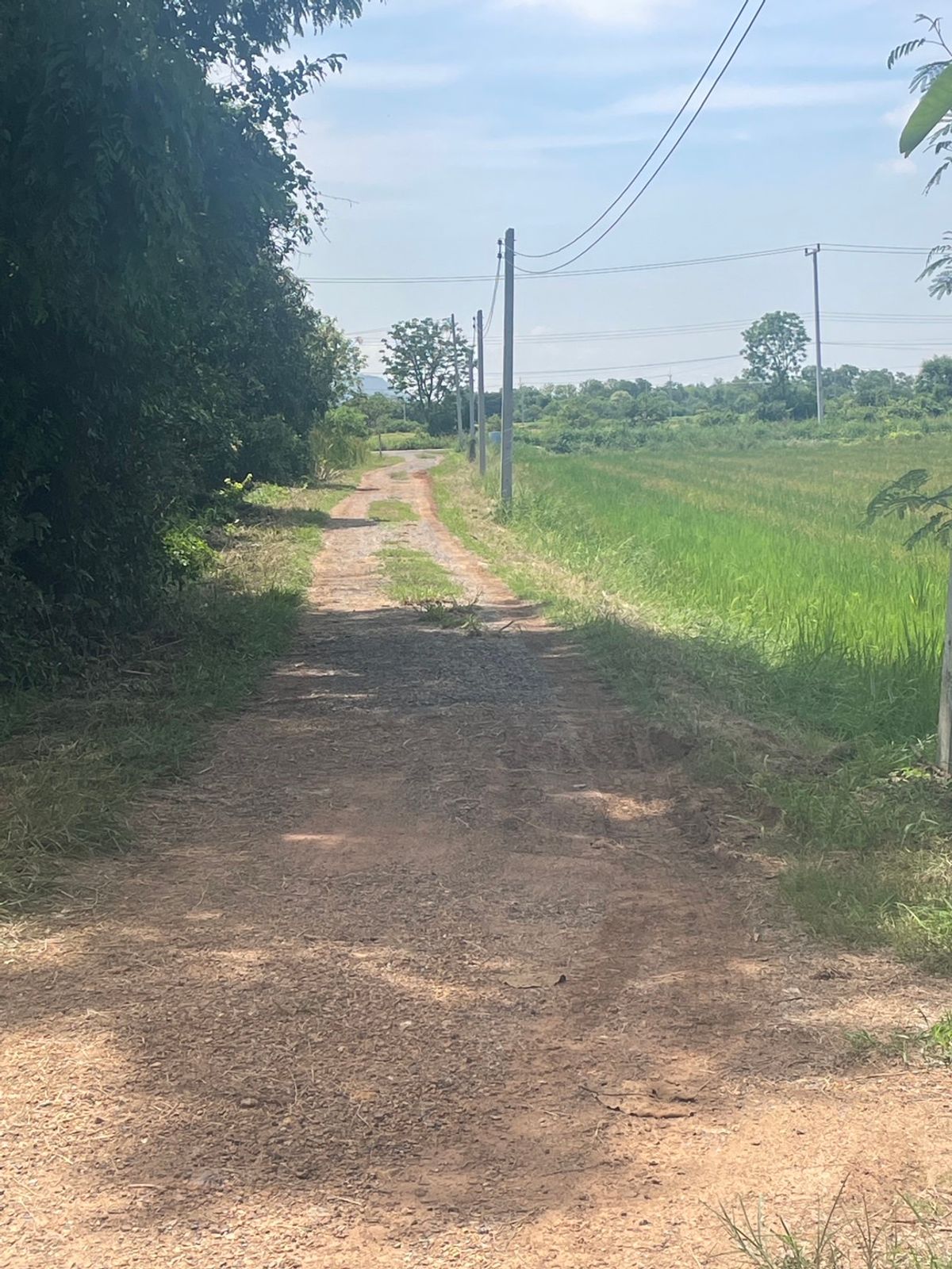 ขายที่ดินสระบุรี : ที่ดินทำเลดี หนองจิก สระบุรี