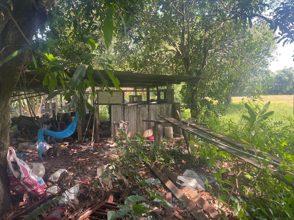 ขายที่ดินสระบุรี : ที่ดินทำเลดี หนองจิก สระบุรี