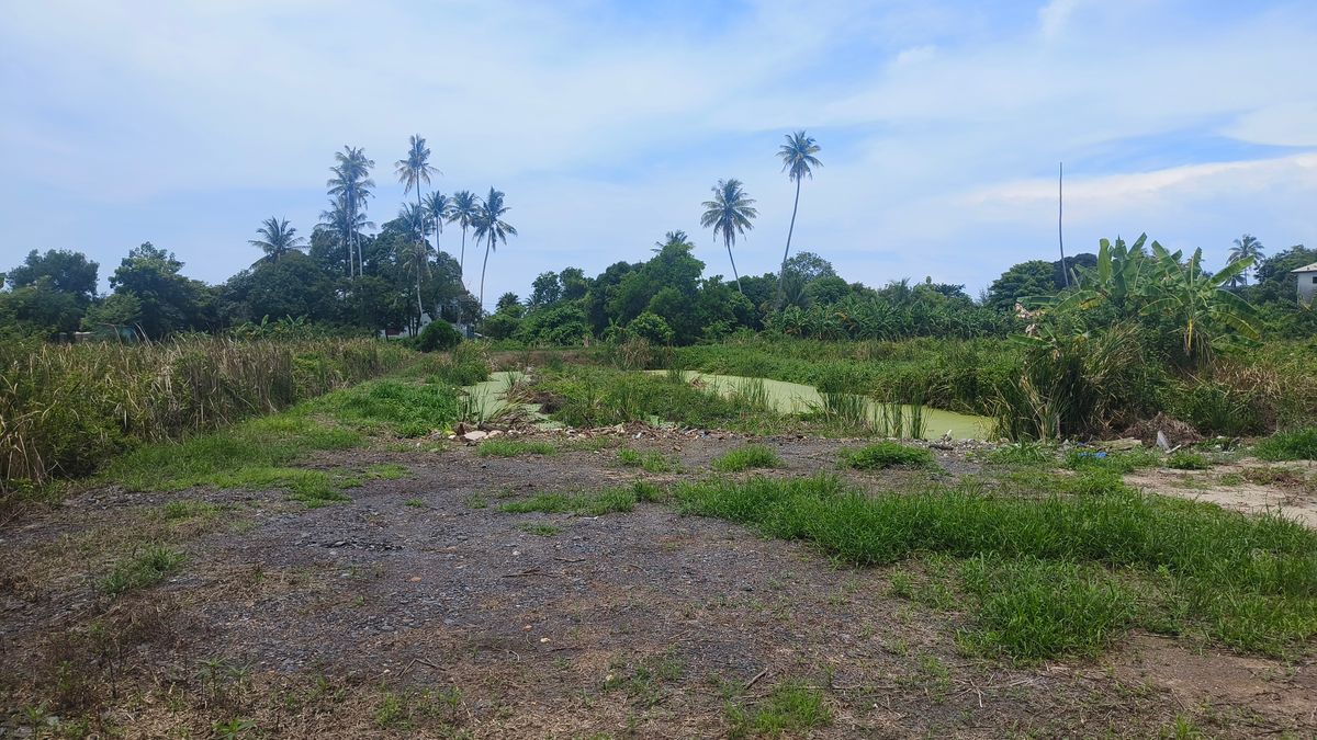ขายที่ดินจันทบุรี : ขายด่วนที่ดินพื้นที่ท่องเที่ยวทางทะเล หาดแหลมสิงห์