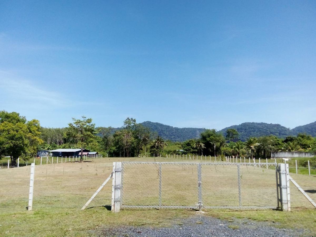 ขายที่ดินภูเก็ต : ขายที่ดิน ภูเก็ต ถลาง 1 ไร่ 3 งาน 63.2 ตรว. ขายยกแปลง อ.ถลาง จ.ภูเก็ต ใกล้ ถนนเทพกระษัตรี ใกล้ โลตัสถลาง, พื้นที่เขตสีเหลือง วิวภูเขาโอมล้อม ที่ดินสวย เหมาะสำหรับ ทำวิลล่า บ้านพัก ธุรกิจบ้านจัดสรรอื่นๆ ขายราคาไม่แพง สนใจโทร 081-2069708 พี่หน่อย
