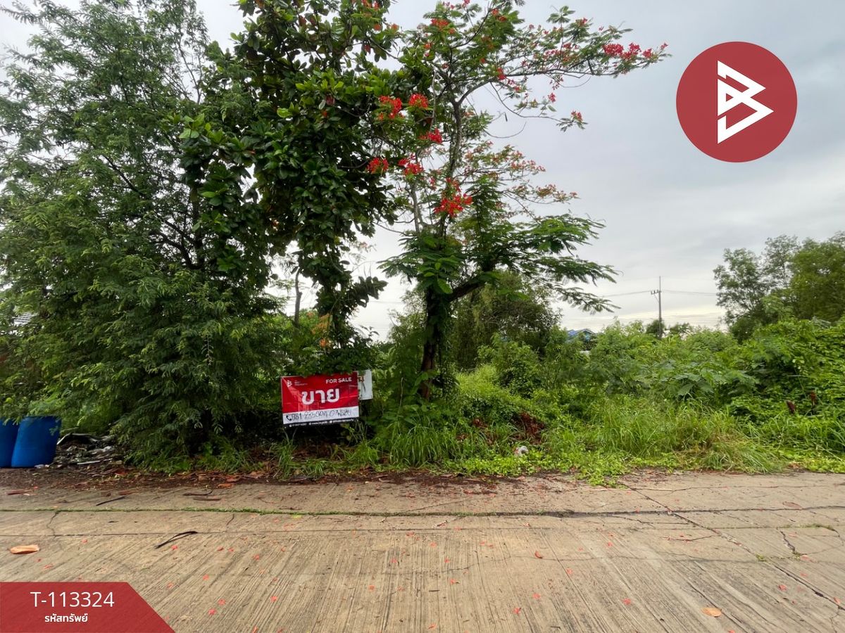ขายที่ดินปทุมธานี รังสิต ธรรมศาสตร์ : ขายที่ดิน เนื้อที่ 1 งาน หนองเสือ ปทุมธานี