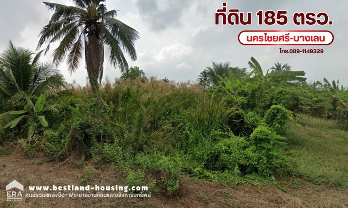 ขายที่ดินนครปฐม : ขายที่ดินแปลงสวย ทำเลทอง สวนเกษตร เจริญวงศ์ บางเลน นครปฐม ใกล้ถนนนครไชยศรี-บางเลน