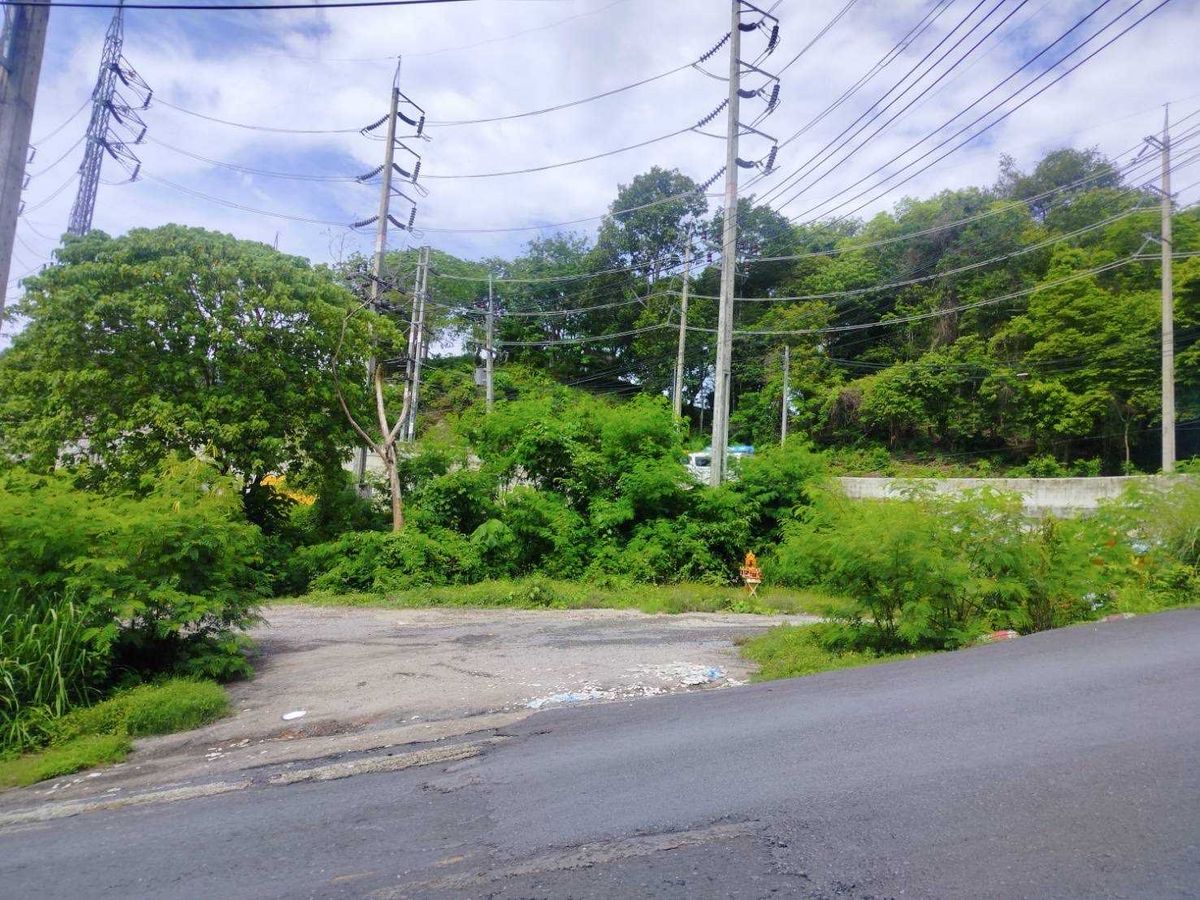 For SaleLandPhuket : Land for Sale: Corner Plot on Main Road with Mountain View – Ideal for Vacation Home