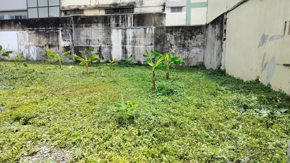 For SaleLandSiam Paragon ,Chulalongkorn,Samyan : Beautiful land for sale near Hua Lamphong Railway Station, size 1-3-3.1 Rai (703.1 Sq.)