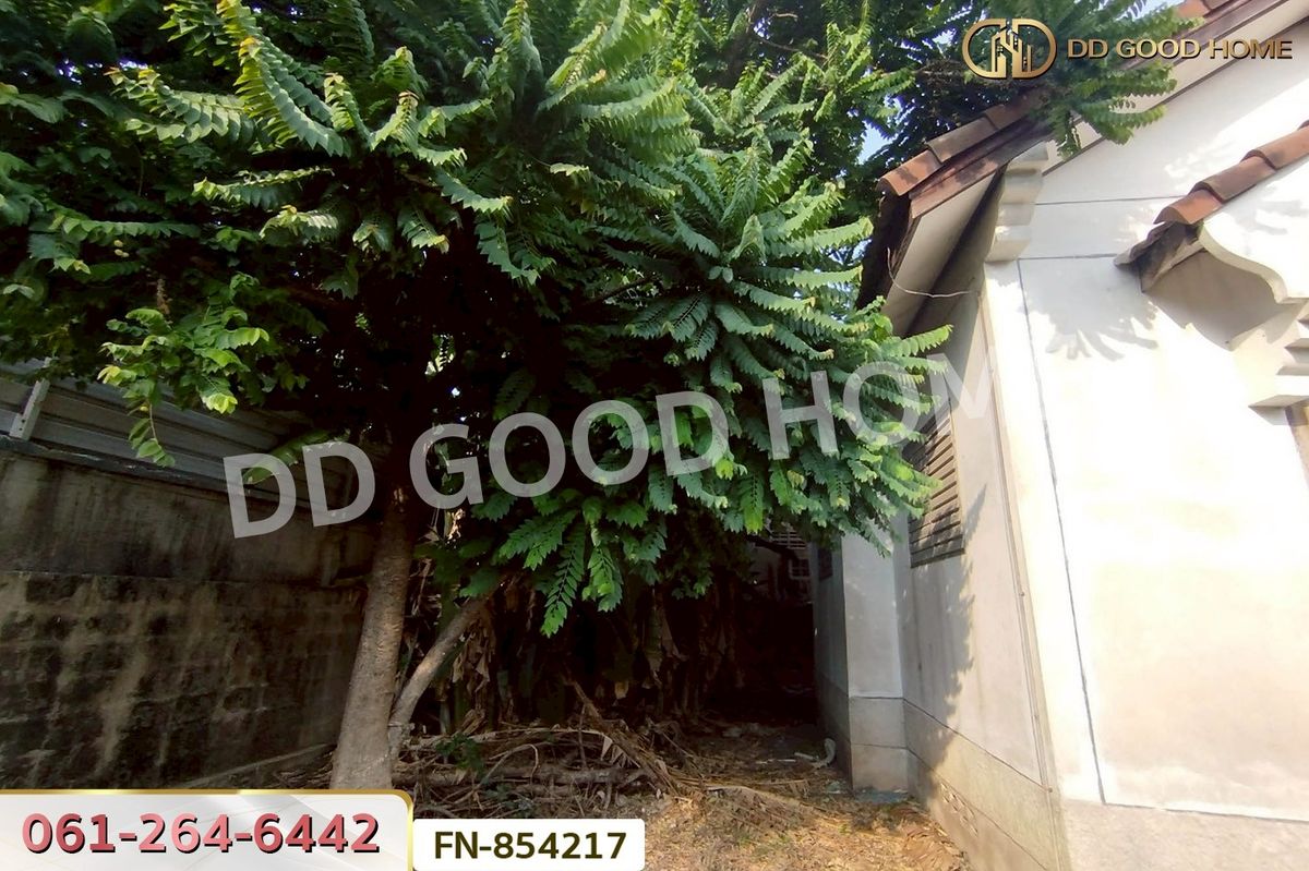 ขายบ้านปทุมธานี รังสิต ธรรมศาสตร์ : FN-854217 บ้านเดี่ยว หมู่บ้านพรธิสาร 4 คลอง 6 ปทุมธานี ใกล้ดูโฮมรังสิต