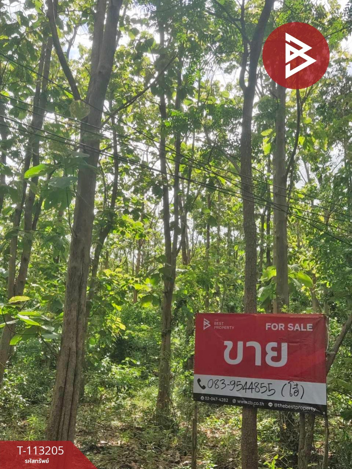 ขายที่ดิน เนื้อที่ 2 งาน ตาคลี นครสวรรค์ Loading...