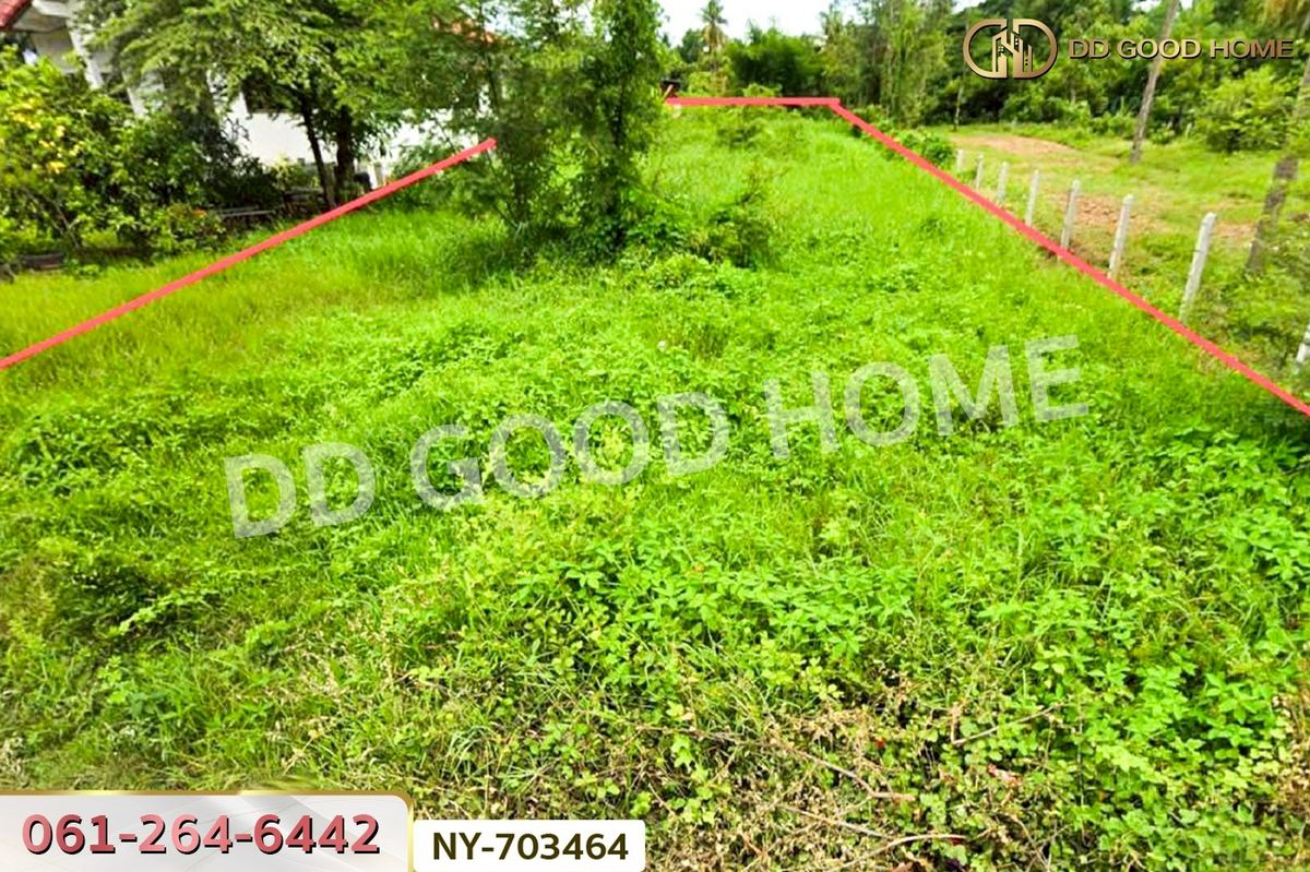 For SaleLandPhitsanulok : NY-703464 Land Phromphiram 349 sq.w. Phitsanulok near Wat Ban Song