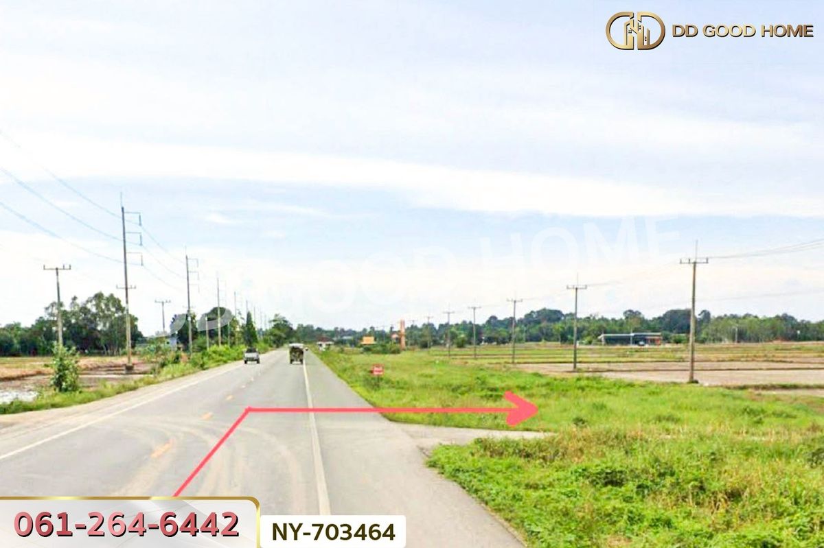 For SaleLandPhitsanulok : NY-703464 Land Phromphiram 349 sq.w. Phitsanulok near Wat Ban Song
