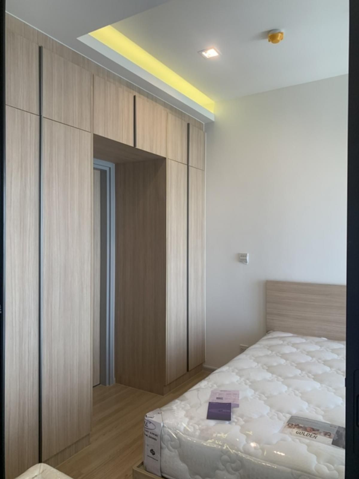 ให้เช่าคอนโดสะพานควาย จตุจักร : ให้เช่า ✨ M Jatujak ✨ 🐈 pet friendly 🐕 เฟอร์นิเจอร์ และ เครื่องใช้ไฟฟ้าครบ ใกล้ BTS หมอชิต 