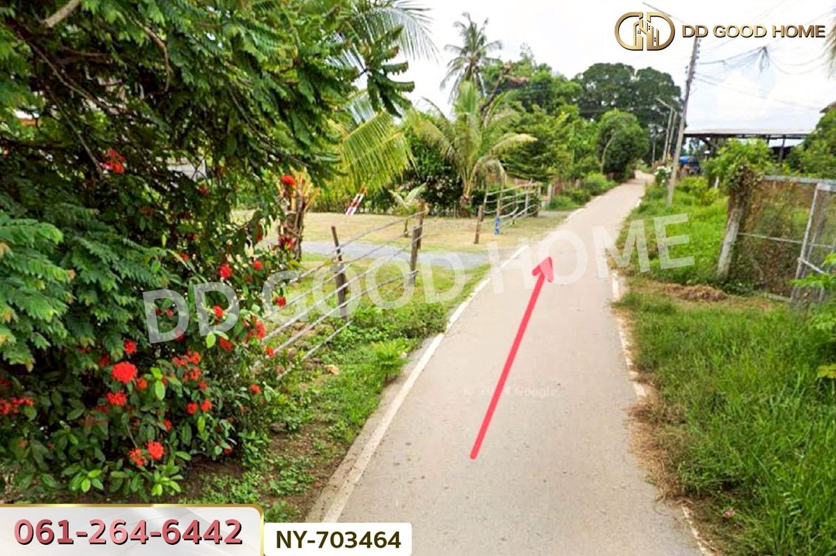 For SaleLandPhitsanulok : NY-703464 Land Phromphiram 349 sq.w. Phitsanulok near Wat Ban Song