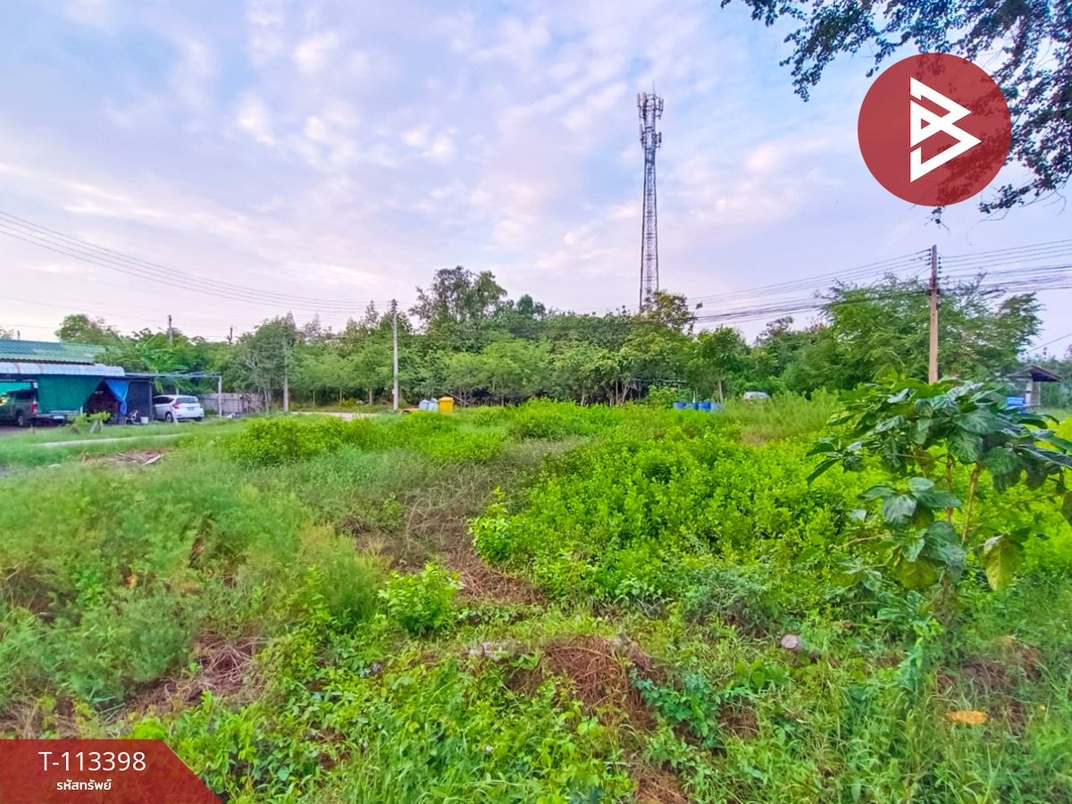 ขายที่ดินมหาชัย สมุทรสาคร : ขายที่ดิน เนื้อที่ 1 งาน กาหลง สมุทรสาคร