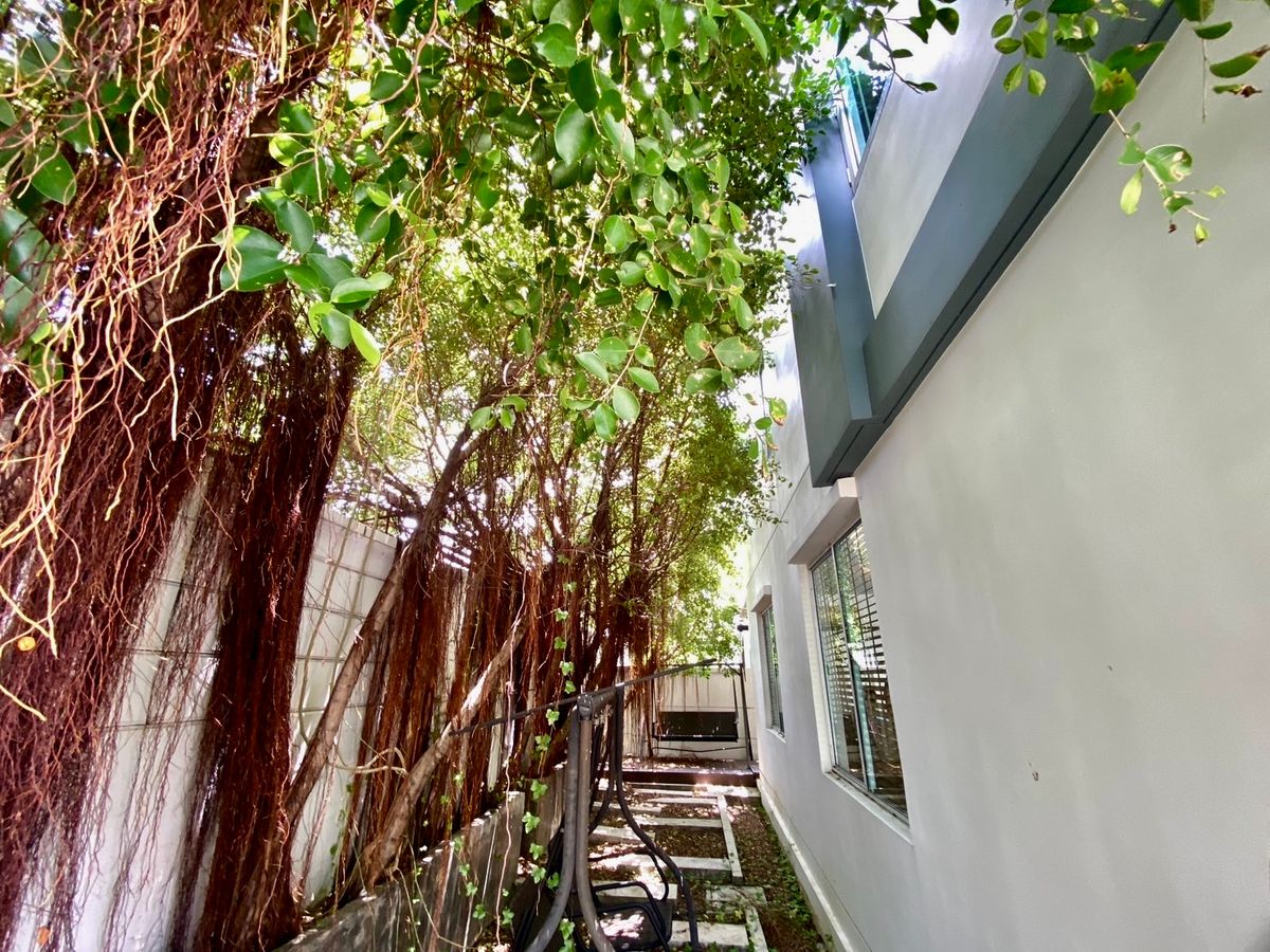 For SaleTownhomePattanakan, Srinakarin : 🌟 Corner Renovated Townhome for Sale – “Town Avenue Rama 9” | Prime Location, Ready to Move In, Ideal for Living or Investment! 🌟