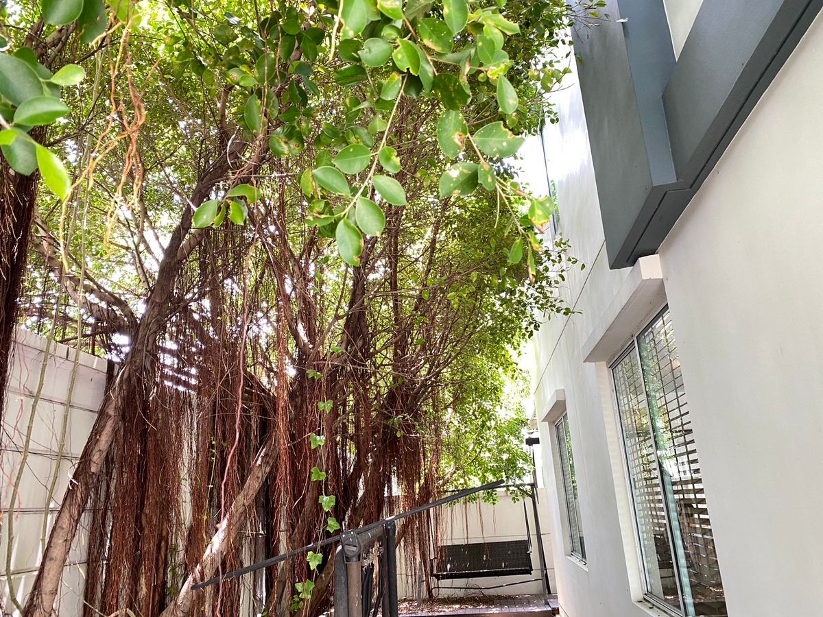 For SaleTownhomePattanakan, Srinakarin : 🌟 Corner Renovated Townhome for Sale – “Town Avenue Rama 9” | Prime Location, Ready to Move In, Ideal for Living or Investment! 🌟