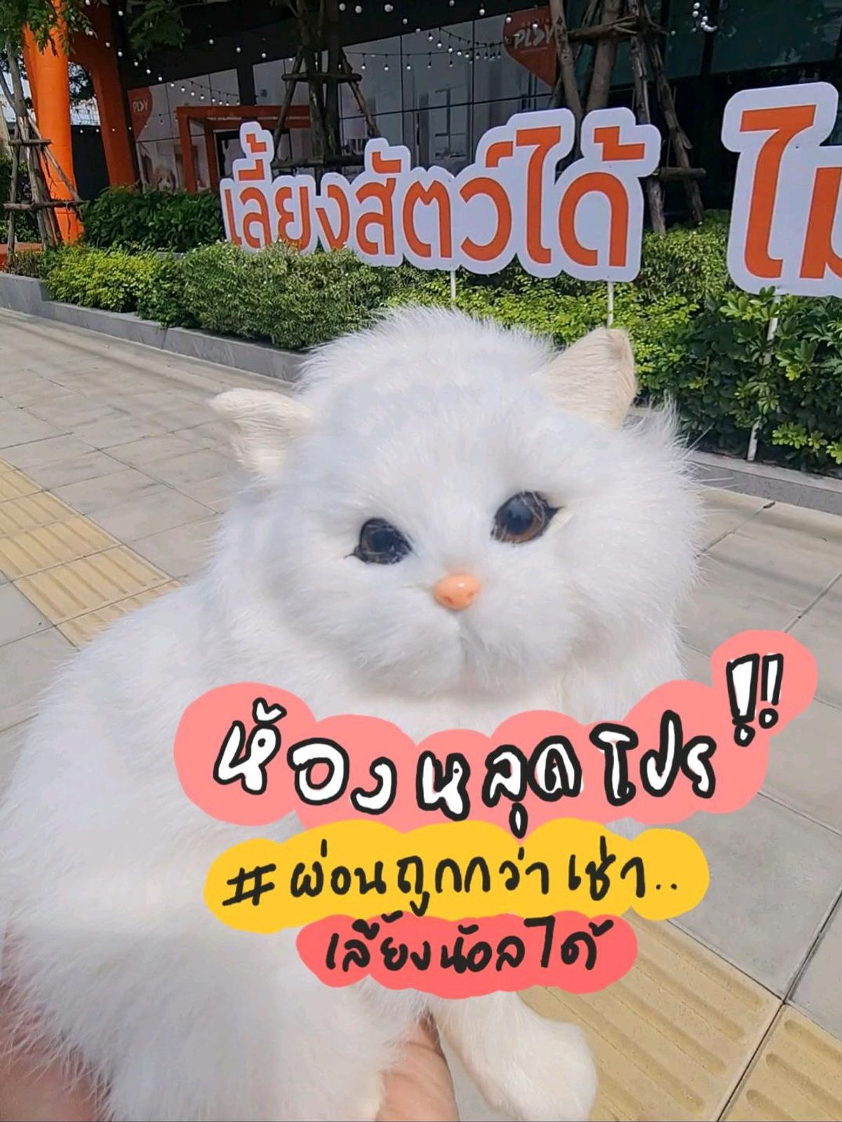 ขายคอนโดอ่อนนุช อุดมสุข : 🐰คอนโดเลี้ยงสัตว์ได้ 1.XX MB  ✅️ผ่อนถูกกว่าเช่า 💰ปล่อยเช่ารายได้ดี 🚩ราคาพนักงาน จำนวนจำกัด ทักก่อนได้ก่อน! 
