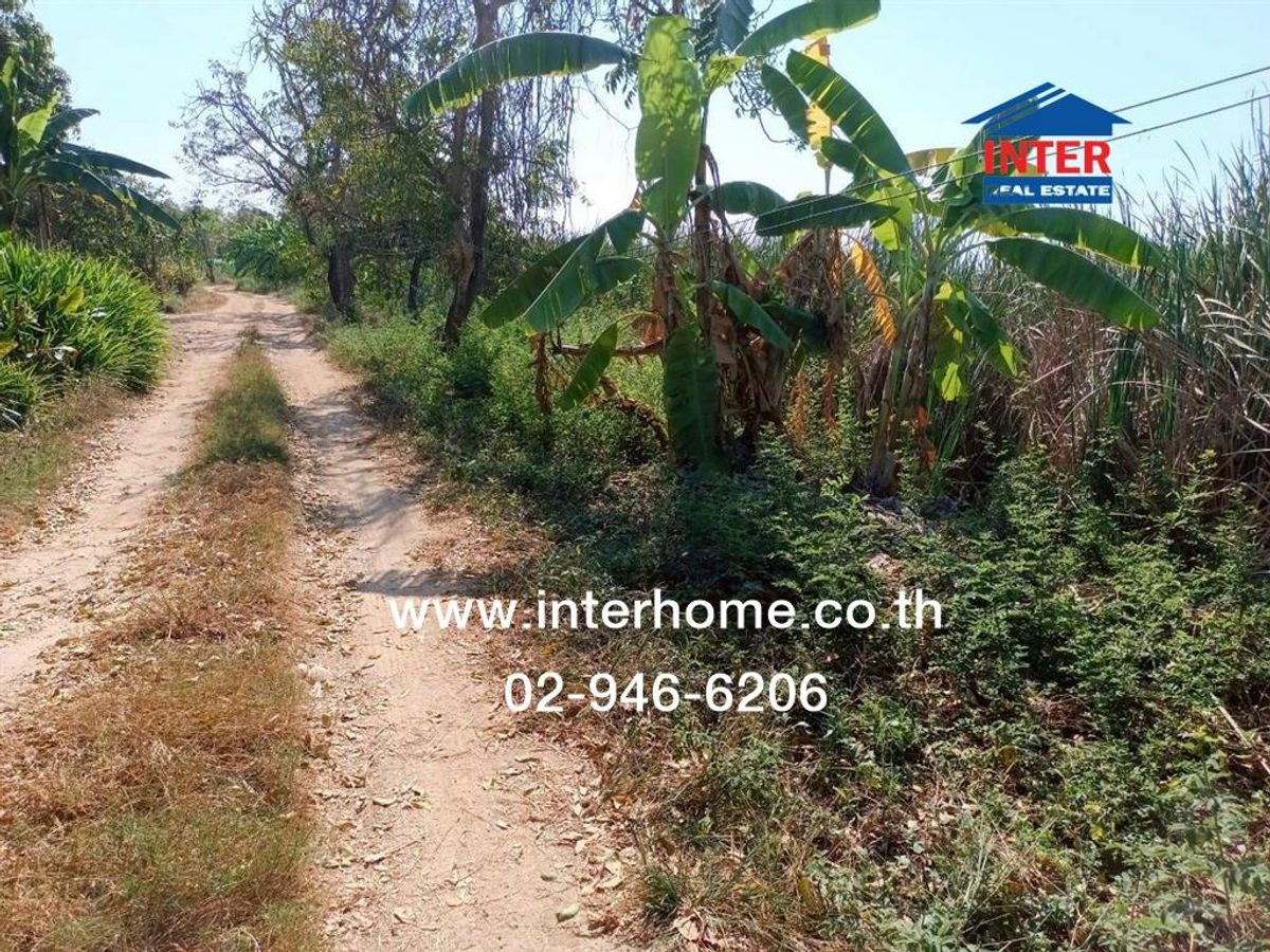 ขายที่ดินลาดกระบัง สุวรรณภูมิ : ที่ดินเปล่า 120 ตร.ว. ที่ดินเปล่า ซอยฉลองกรุง54 ถนนสุวินทวงศ์ เขตลาดกระบัง กรุงเทพมหานคร