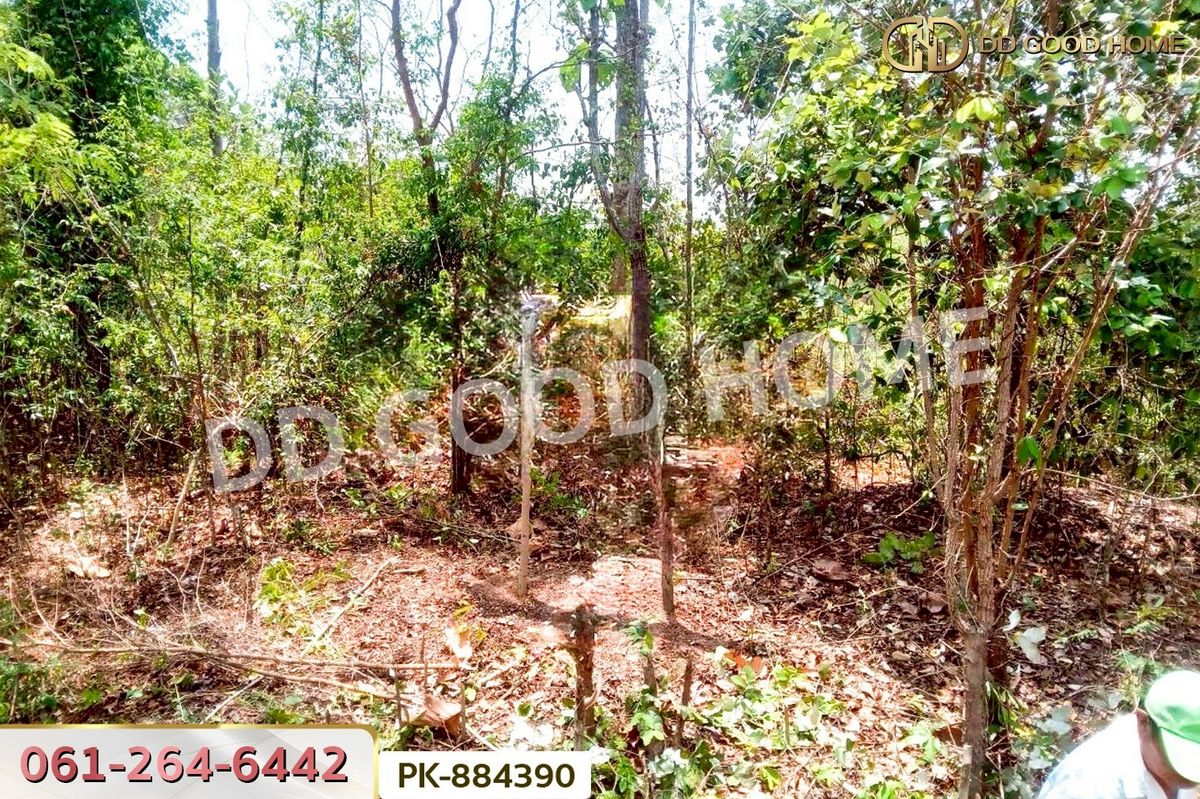 For SaleLandAmnat Charoen : PK-884390 Land, Senangkhanikhom, 5 rai 199.2 sq.w., Amnat Charoen, near Wat Nawieng